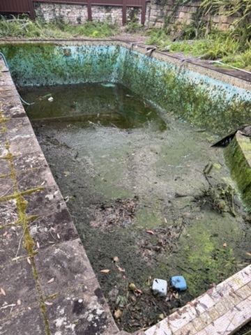 Heavily neglected pool covered in algae before work began